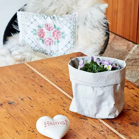 Aufberg 1113 Apartment *