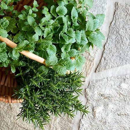 Aufberg 1113 * Piesendorf